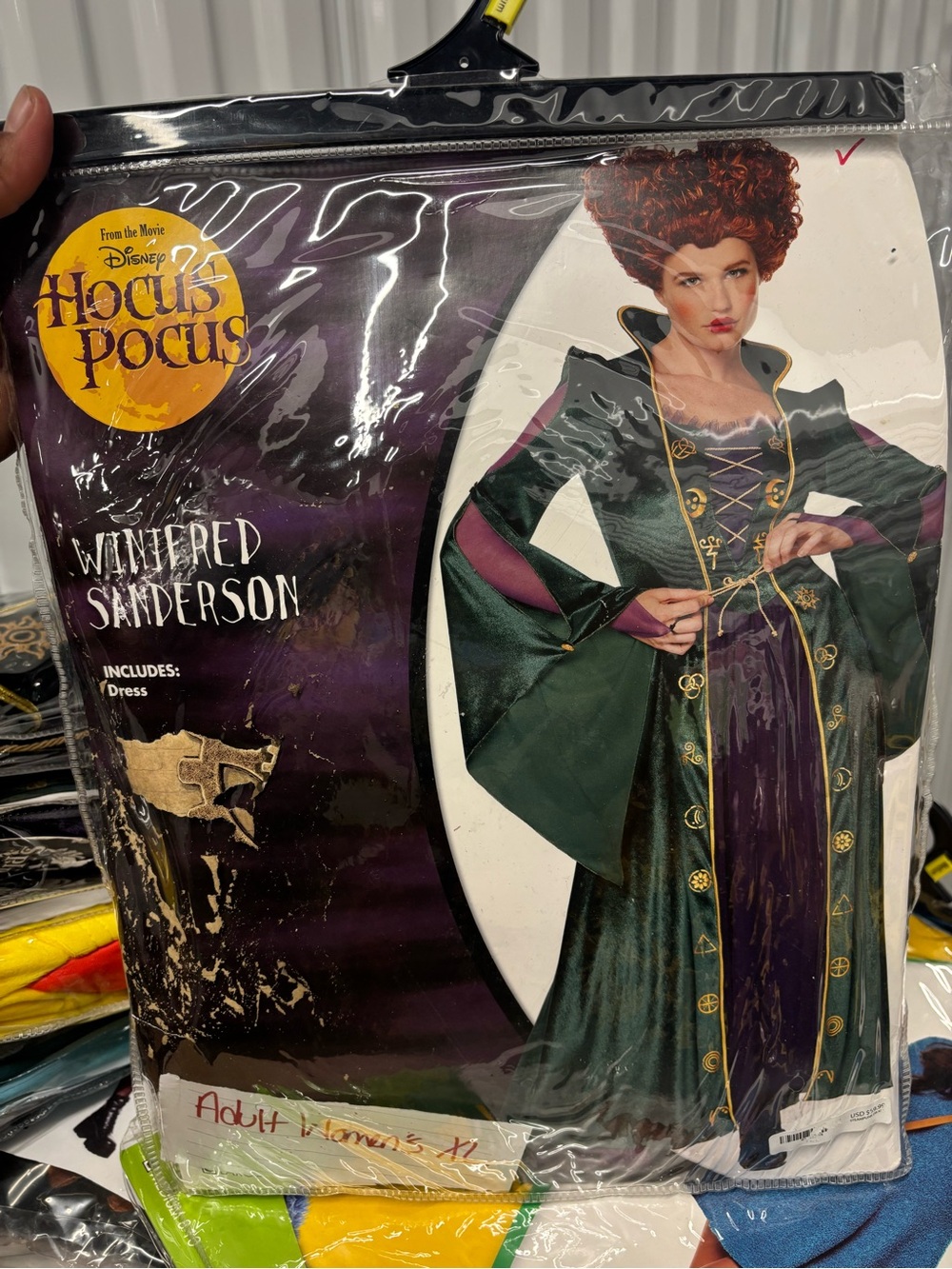 Adult Womens XL Winifred Sanderson Costume - Hocus Pocus